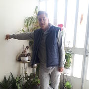  ,   AAA, 49 ,     , c 