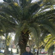  ,   , 41 ,     , c 