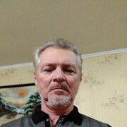  ,   Chernisev, 56 ,   ,   , c 