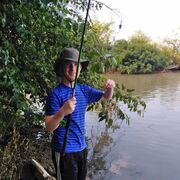 ���������� ������, ���� ������� ����, 31 ���, ������������ ��� ������, ����� � ���������