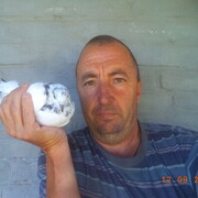 ���������� ��������, ���� ������� ����, 52 ����, ������������ ��� ������, ����� � ���������, ���������