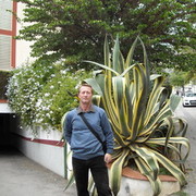  ,   , 65 ,   ,   , c , 
