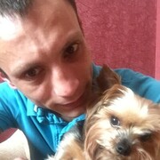 ���������� ������, ���� ������� ������, 36 ���, ������������ ��� ������, ����� � ���������, c�������� ���������