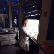 ���������� ������, ���� ������� ���������, 48 ���, ������������ ��� c�������� ���������