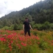  ,   , 41 ,   ,   