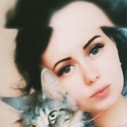  ,  , 28
