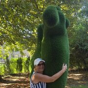 ���������� ������������, ���� ������� ������, 68 ���, ������������ ��� ������, ����� � ���������, ���������