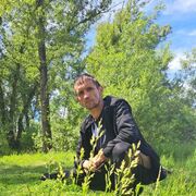 ���������� ���������, ���� ������� �������, 43 ����, ������������ ��� ������, ����� � ���������, c�������� ���������