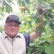 ���������� ���������, ���� ������� ���������, 68 ���, ������������ ��� ������, ����� � ���������