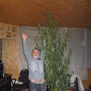 ���������� �������, ���� ������� �����, 57 ���, ������������ ��� ������, ����� � ���������, c�������� ���������, ���������