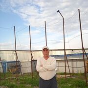 ���������� ������, ���� ������� Valijon, 55 ���, ������������ ��� ������, ����� � ���������