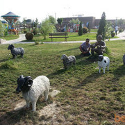 ���������� ����, ���� ������� Raul, 39 ���, ������������ ��� ������