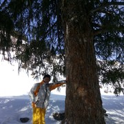  ,   Dima, 62 ,     , c 