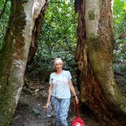 ���������� ����, ���� ������� ������, 60 ���, ������������ ��� ������, ����� � ���������, c�������� ���������