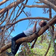 ���������� ������, ���� ������� ���, 26 ���, ������������ ��� ������, ����� � ���������, c�������� ���������