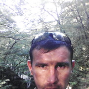  --,   , 41 ,     , c 
