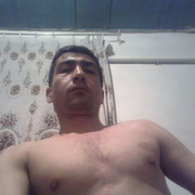  ,  gambit 99891, 41