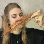  ,  , 19