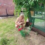  ,   , 55 ,  