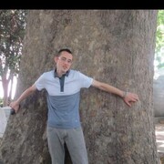 ���������� ���������, ���� ������� ������, 28 ���, ������������ ��� ������, ����� � ���������