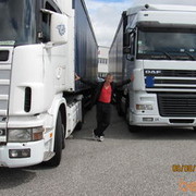 ���������� �����������, ���� ������� �����, 49 ���, ������������ 