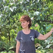  ,   , 65 ,   ,   