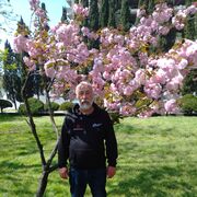 ���������� ������, ���� ������� �����, 62 ����, ������������ ��� c�������� ���������