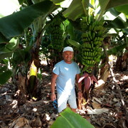 ���������� �����������, ���� ������� �����, 68 ���, ������������ ��� ������, ����� � ���������, c�������� ���������