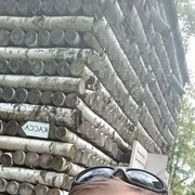  ,   , 45 ,   ,   