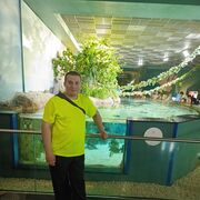 ���������� ����������, ���� ������� �������, 41 ���, ������������ ��� ������, ����� � ���������