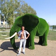  ,   , 43 ,   ,   