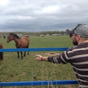 ���������� �����, ���� ������� Shining, 43 ����, ������������ ��� ������, ����� � ���������, c�������� ���������