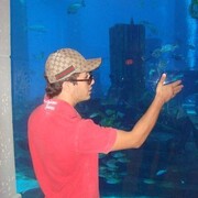 ,   , 29 ,   ,   