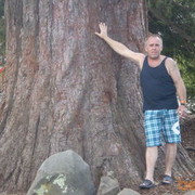 ���������� �����������, ���� ������� ��������, 59 ���, ������������ ��� ����� � ���������, c�������� ���������