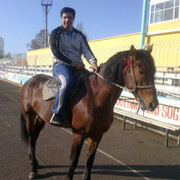 ,  zafar, 41
