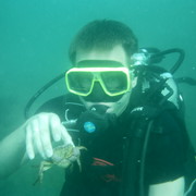 ���������� ������, ���� ������� ����, 40 ���, ������������ ��� ������