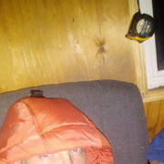  ,   , 34 ,   