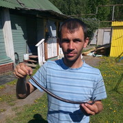 ���������� ������������, ���� ������� ��������, 38 ���, ������������ ��� ������, ����� � ���������, c�������� ���������