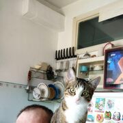  ,   , 53 ,   ,   , c 