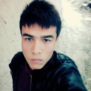  -,   Wolf, 25 ,   ,   , c , 