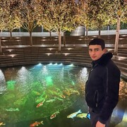 ���������� ���������, ���� ����� ����, 22 ����, ������������ ��� ������, ����� � ���������