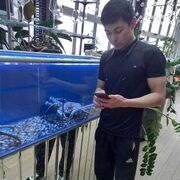 ���������� ������, ���� ������� �����, 32 ����, ������������ ��� ������, ����� � ���������