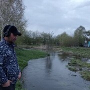 ���������� ������������, ���� ������� ����, 43 ����, ������������ ��� ������, ����� � ���������, c�������� ���������, ���������