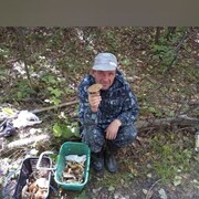  --,   , 56 ,   ,   