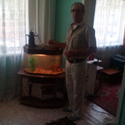  ,   , 67 ,   