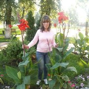  ,   , 52 ,   ,   , c 