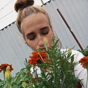 ���������� �����������, ���� ������� ����, 22 ����, ������������ ��� ������, ����� � ���������, ���������