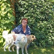 ���������� ���������, ���� ������� �����, 61 ���, ������������ ��� ���������