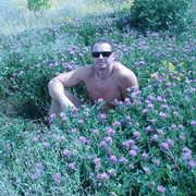  ,   , 54 ,   