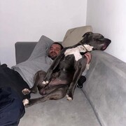  ,   Mike, 36 ,   ,   